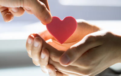 Charitable Contributions OBBBA